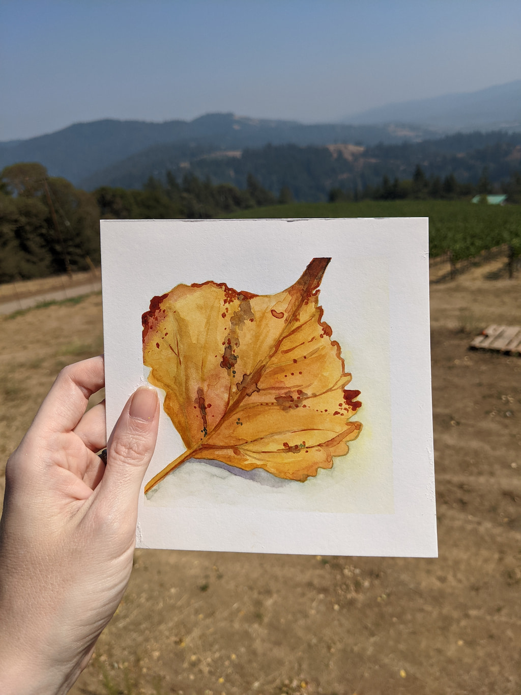 Plein air of a leaf