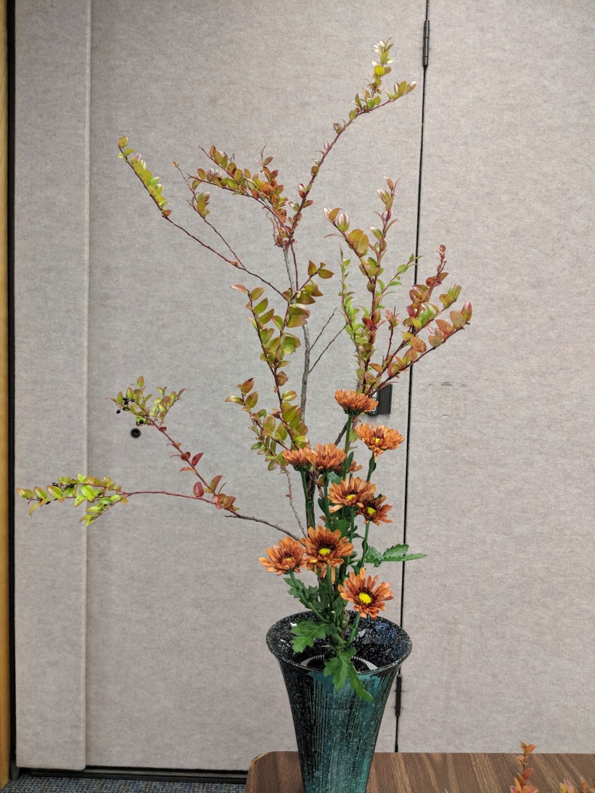 2 material autumnal shoka.