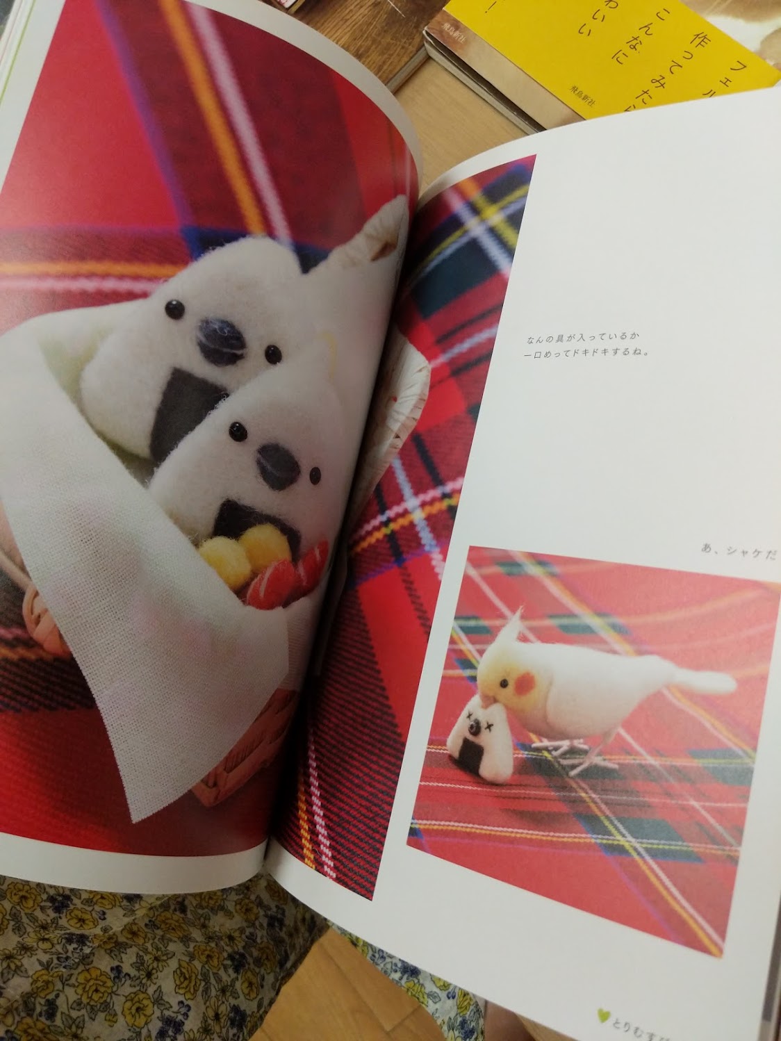 It's all bird felting projects, too.